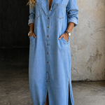 Delana button-down dress, tailored fit for everyday wear