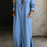 Delana button-down dress, tailored fit for everyday wear